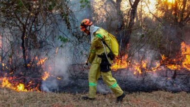 incendios forestales