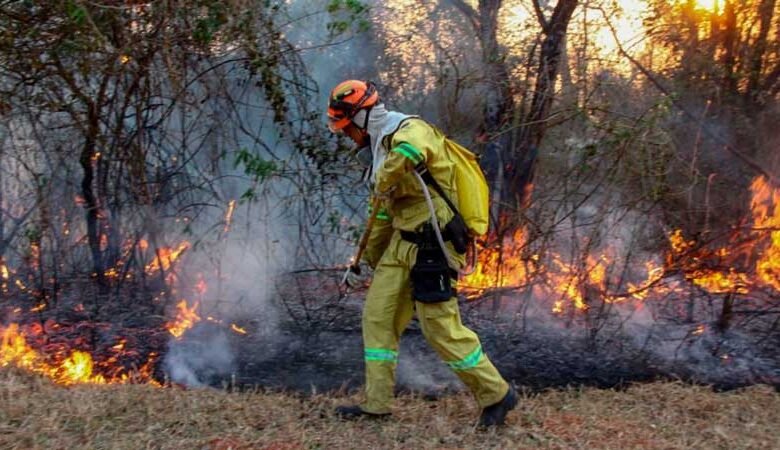 incendios forestales